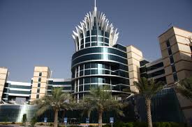 Dubai Silicon Oasis Free Zone (DSO free zone) 